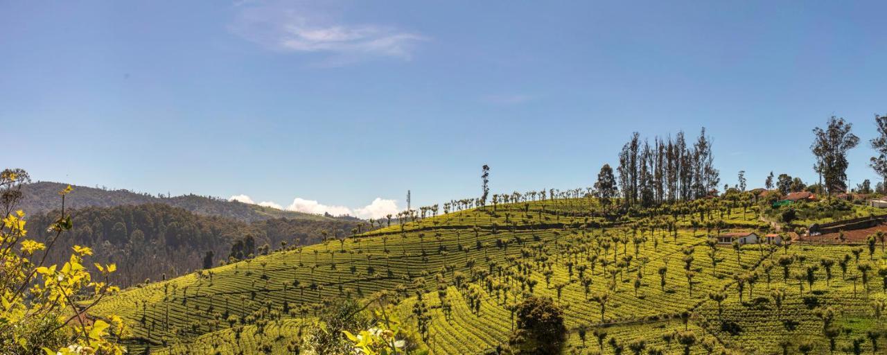 Club Mahindra Derby Green, Ooty Kültér fotó